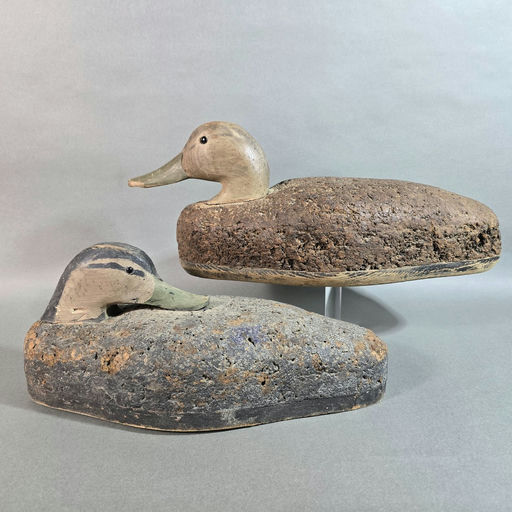 Corb Reed – Black duck – 2026