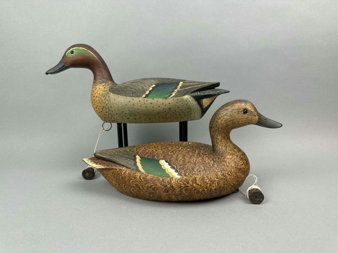 Mike Valley – Green-Winged Teal – 2026