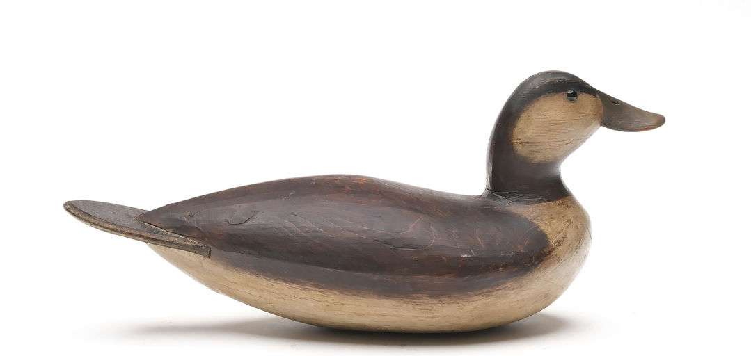 Mark McNair – Ruddy Duck – 2026