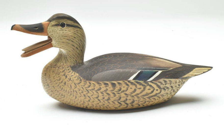 Corb Reed – Mallard – 2023