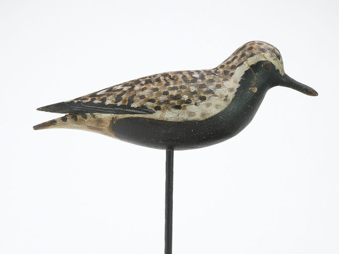 Elmer Crowell – Golden Plover – 2024