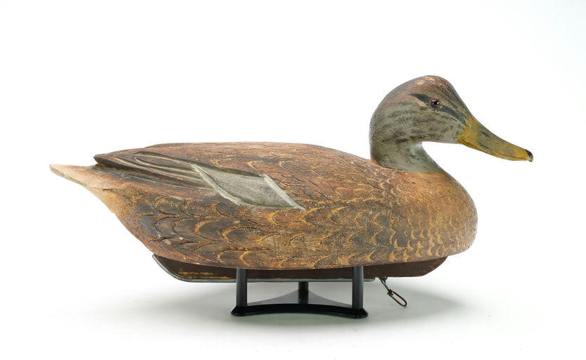 Ben Schmidt – Mallard Hen – 2025