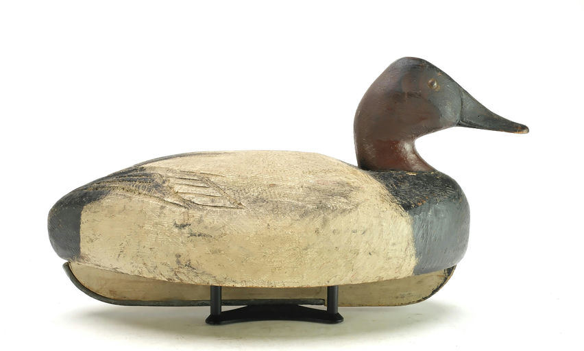 Ben Schmidt – Canvasback – 2025