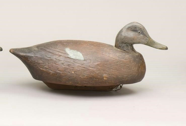 Frank Schmidt – Black Duck – 2010