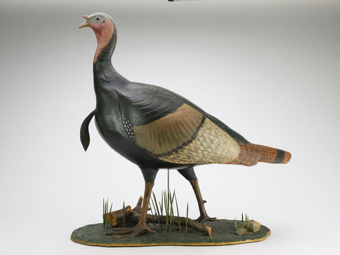 Tom Schroeder — Turkey