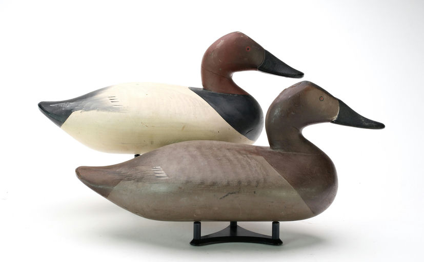 R. Madison Mitchell – Pair of Canvasbacks – 2025