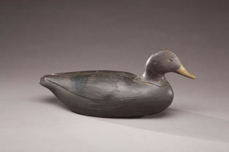 Gus Wilson – Black Duck – 2011