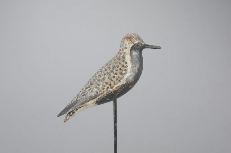 Elmer Crowell – Black-Bellied Plover – 2023