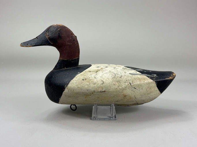 John Glenn – Canvasback – 2026