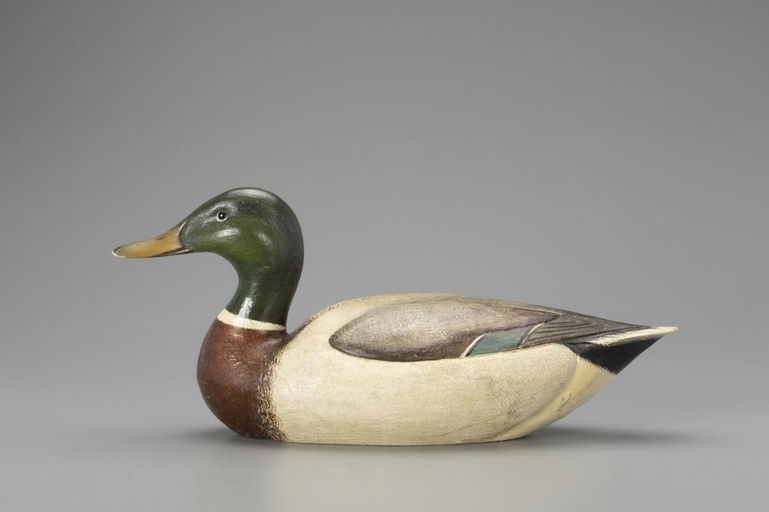 Mike Valley – Mallard Drake – 2018