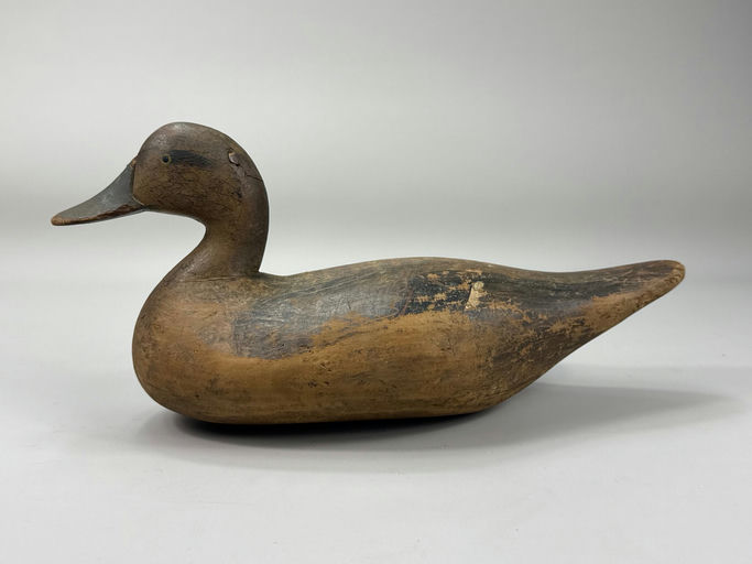 R. Madison Mitchell – Pintail – 2026
