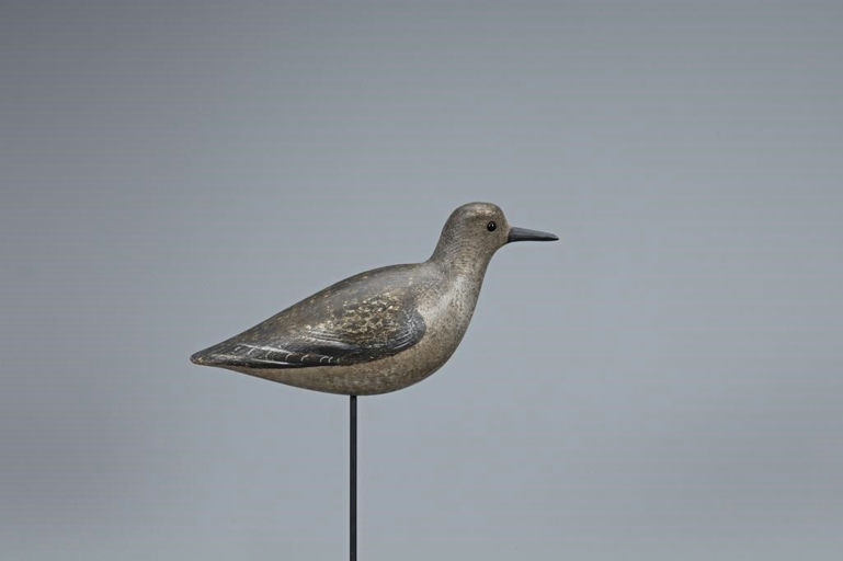 John Dilley – Rare Golden Plover – 2019
