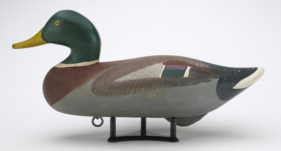 R. Madison Mitchell – Mallard – 2024