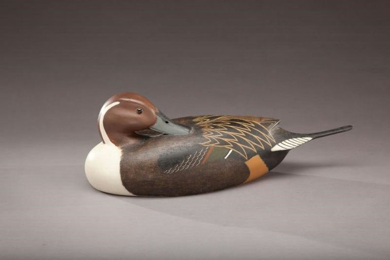 John McLoughlin – Preening Pintail Drake – 2011