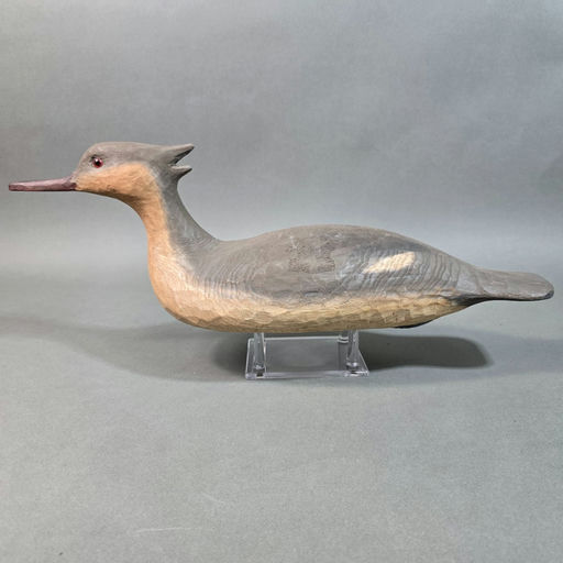 Cigar Daisey – Merganser – 2026