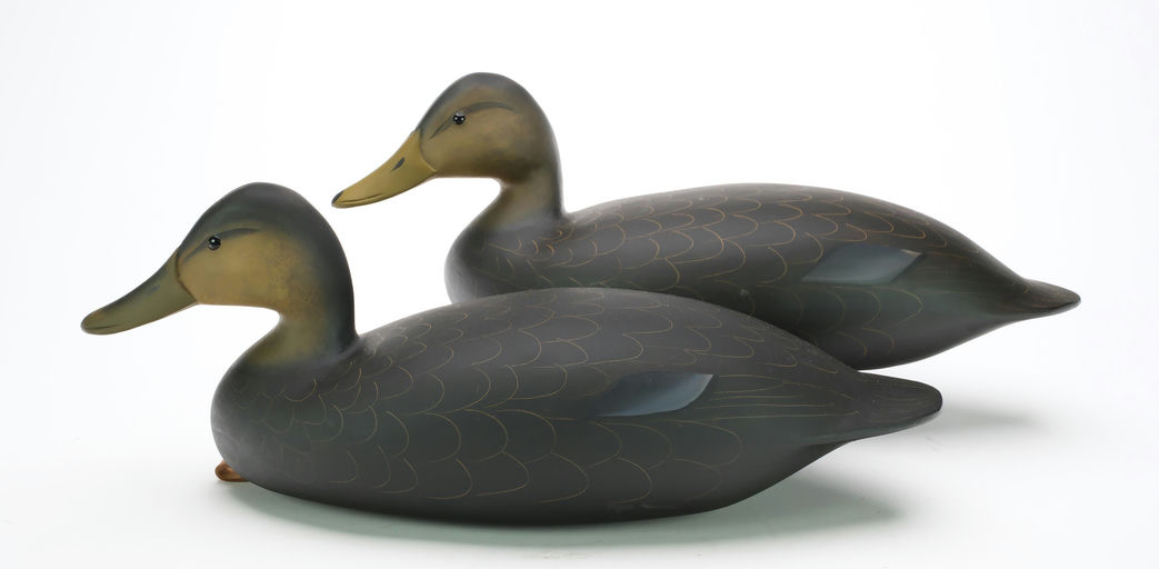 George Strunk – Pair of Black Ducks – 2024
