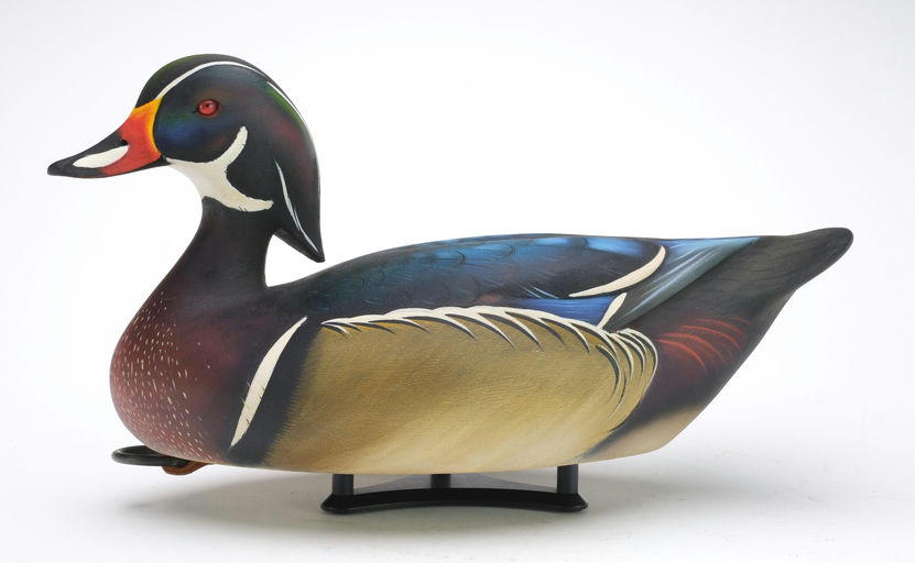 Sean Sutton – Wood Duck – 2024
