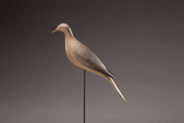 Mark McNair – Dove – 2012