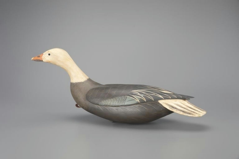 Bob White – Swimming Blue Goose – 2024