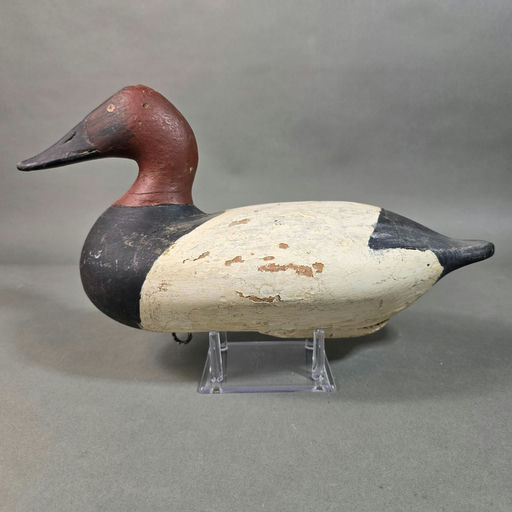 Leonard Pryor – Canvasback – 2026