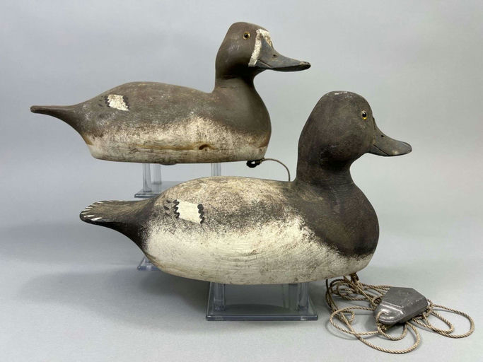 Ron Koch — Bluebill Duck