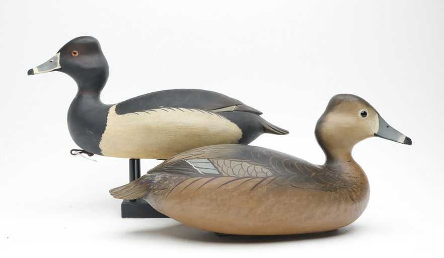 Bob White – Pair of Ringneck – 2026