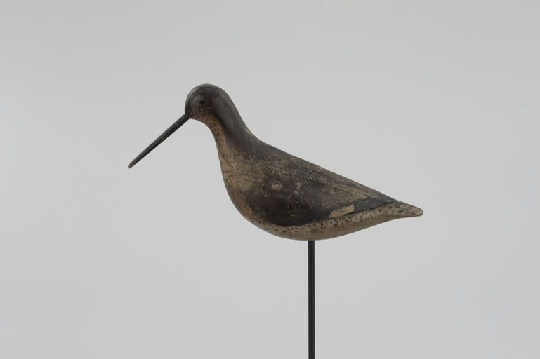Thomas Gelston – Long-Billed Dowitcher – 2026