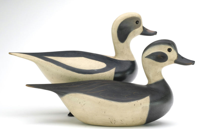 Pete Peterson – Pair of Long Tail Duck – 2024