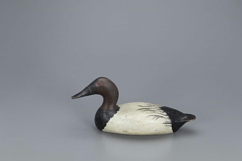 Bert Graves – Canvasback – 2019