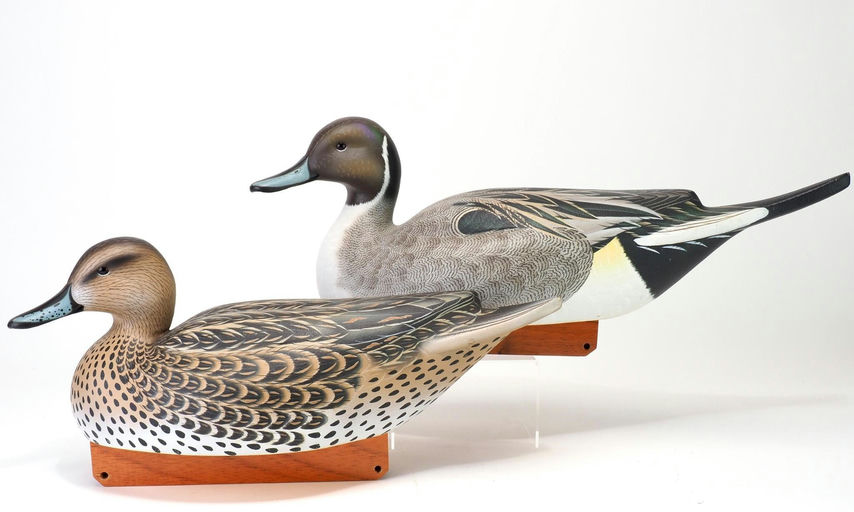 Jimmie Vizier — Competition Pintail Pair