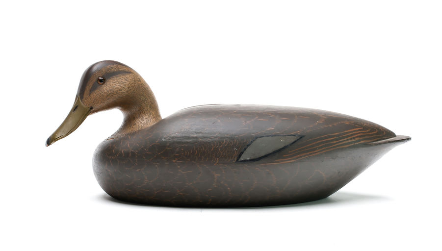Louis Rathmell – Black Duck – 2026