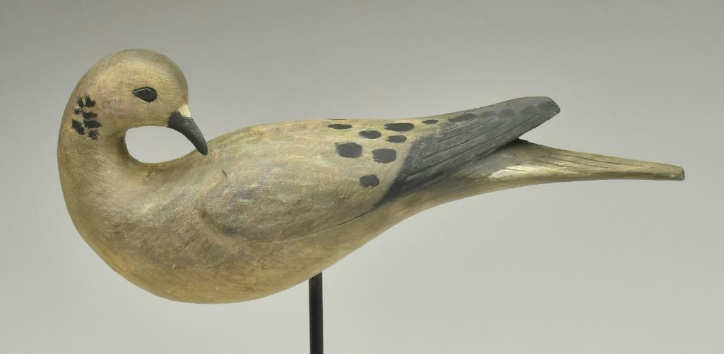 Reggie Birch – Mourning dove – 2023