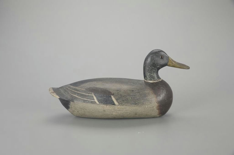 Henry Holmes – Mallard Drake – 2023