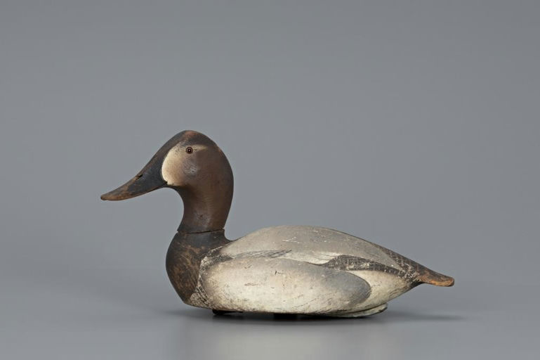 Ward Brothers – Canvasback Hen – 2019
