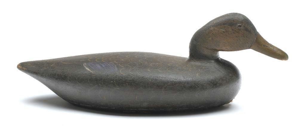 John Blair, Sr. – Black Duck – 2023