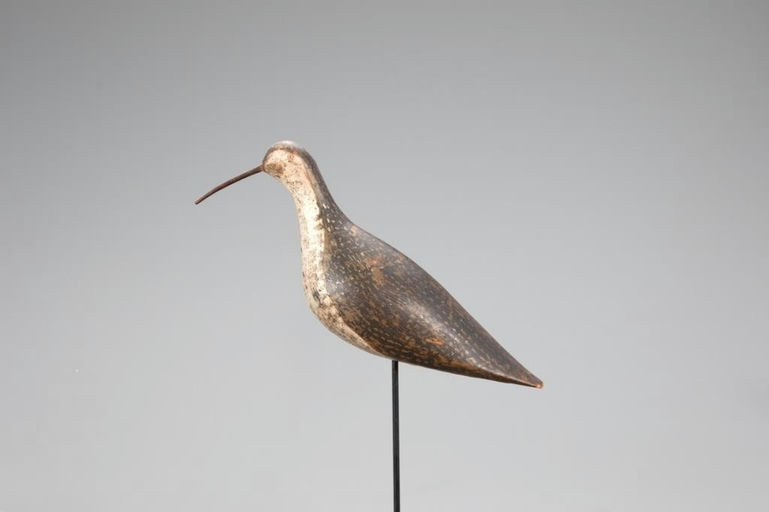 W.S. Morton – Eskimo Curlew – 2021