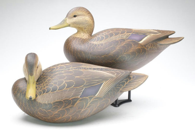 Ben A. Heinemann – Black Duck – 2023