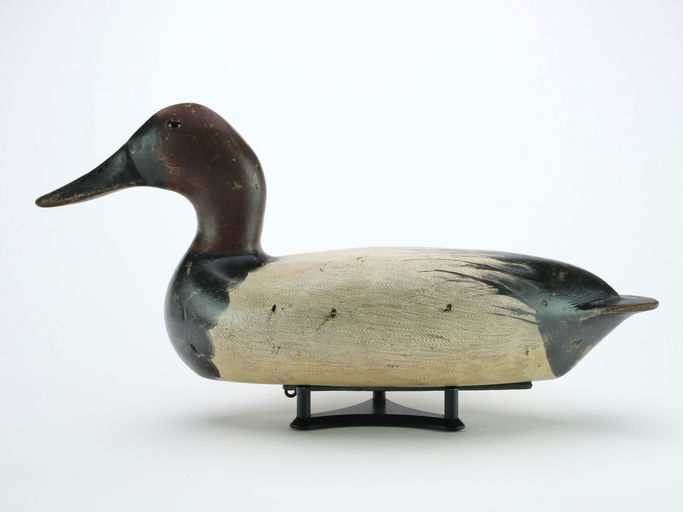 Bert Graves – Canvasback – 2024