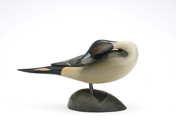 Sean Sutton – Miniature Pintail – 2024
