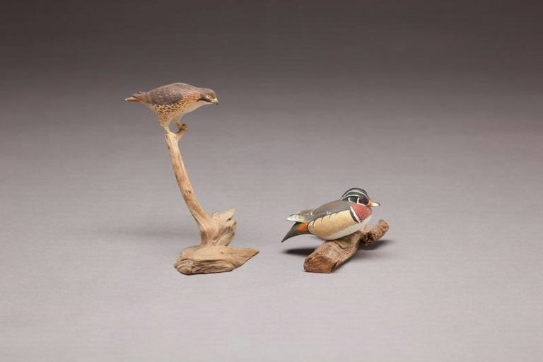 Harold Gibbs – Miniature Wood Duck and Red-Tailed Hawk – 2011