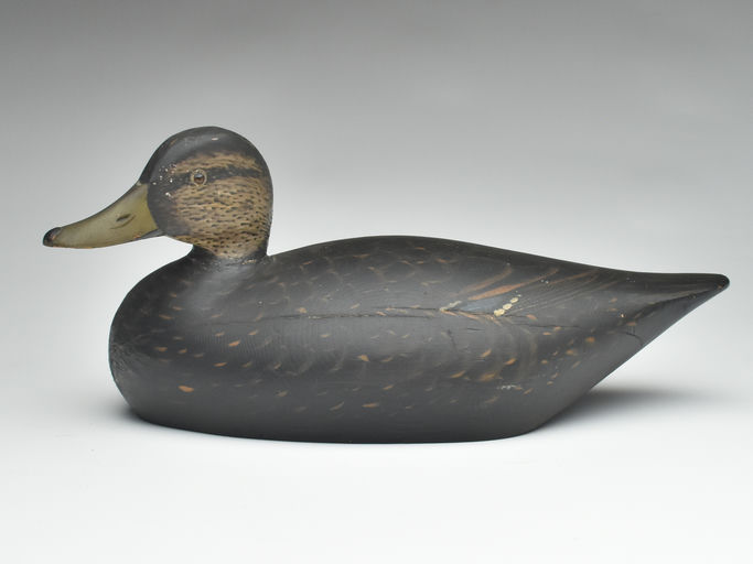 Elmer Crowell – Black Duck – 2023