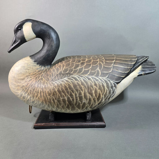 Bob Moreland – Canada goose – 2026