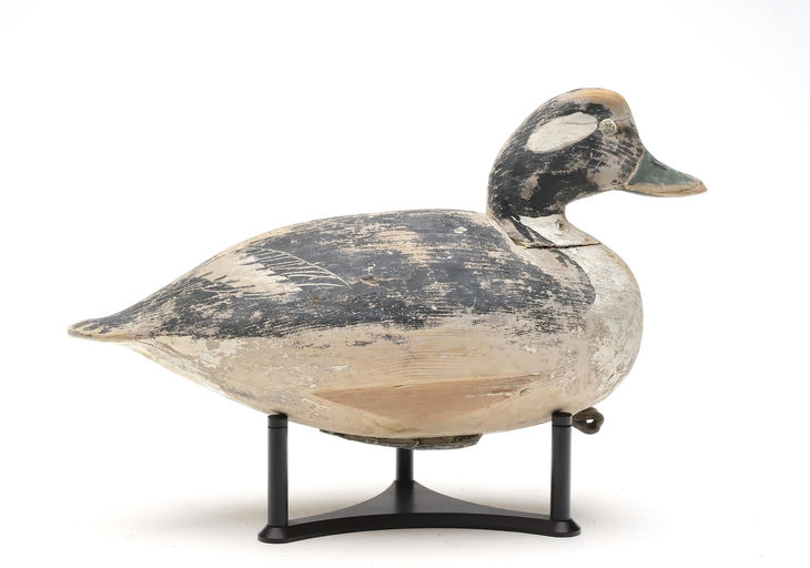 Ira Hudson – Bufflehead – 2026