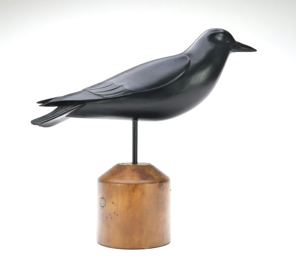 George Strunk – Crow – 2025