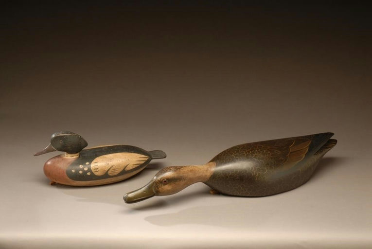 Bob Seabrook – Red-Breasted Merganser – 2008