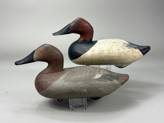 R. Madison Mitchell – Canvasback – 2026