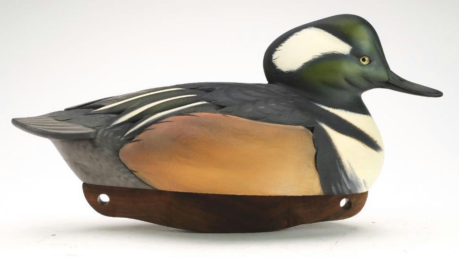 Sean Sutton – Hooded Merganser – 2024