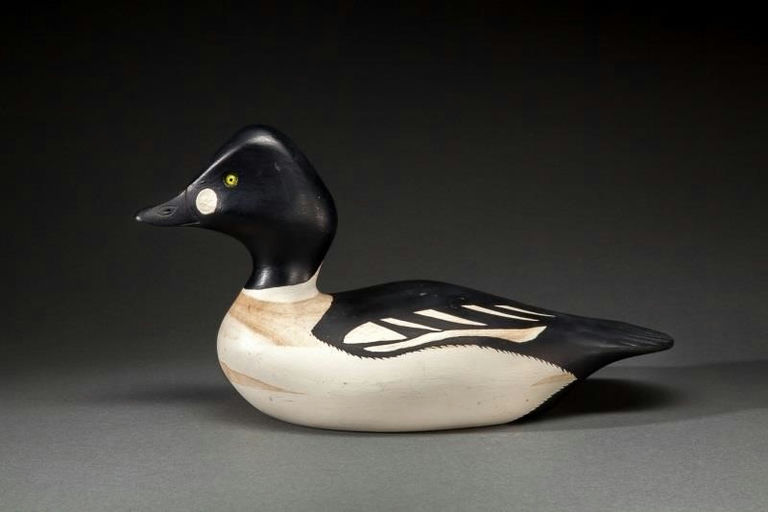 Gerald B. Smith – Goldeneye Drake – 2014