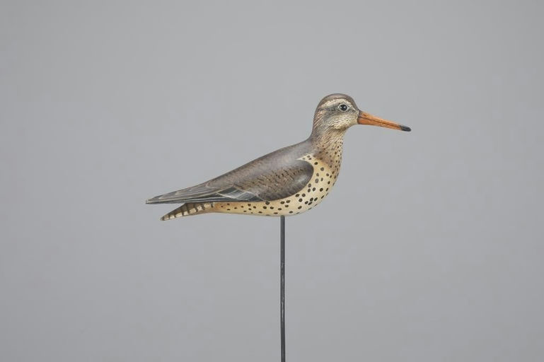 Bill Gibian – Spotted Sandpiper – 2024