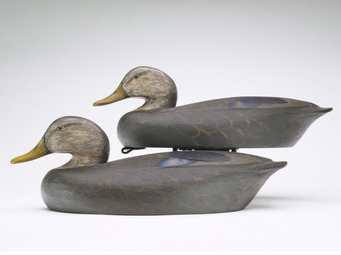 Ken Anger – Black Duck – 2024